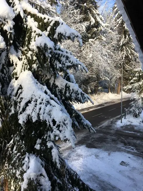 Zitat des Tages: "Der Novemberschnee tut den Saaten sehr wohl und nicht weh!"