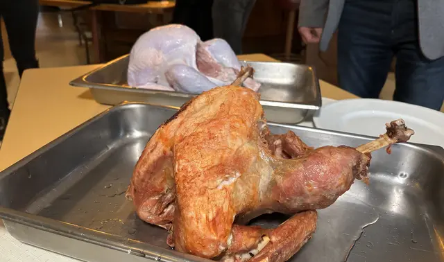 Foto: Barbara Babonitsch-Diewald