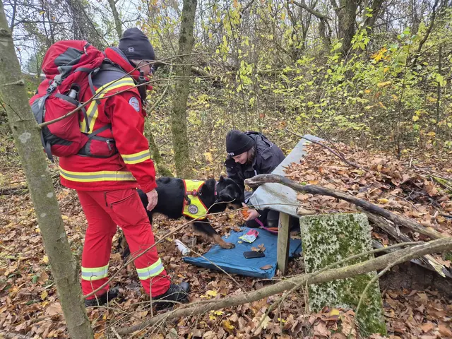 Teamarbeit pur: Hundeführer, Hunde und Helfer im gemeinsamen Einsatz. | Foto: zVg. Österreichische Rettungshundebrigade (ÖRHB)