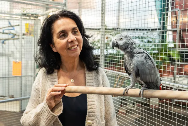 Rund 200 Papageien droht die Obdachlosigkeit. Nun wird ein neues Zuhause für die Vögel gesucht.  | Foto: Valentina Marinelić/MeinBezirk