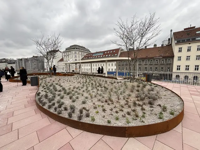 Foto: Andreas Pölzl/MeinBezirk