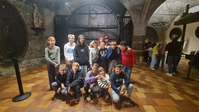 Foto: NÖMS St. Andrä-Wördern