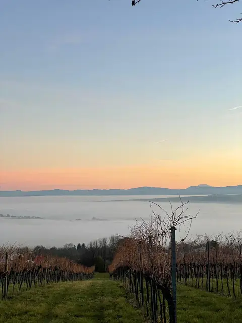 Foto: Erber-Hromatka