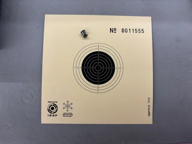 Ins schwarze Getroffen? Gar nicht so einfach! | Foto: Lina Chalusch