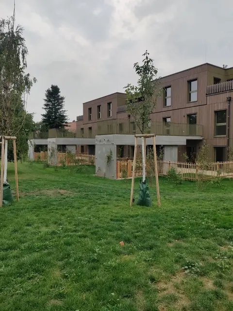 Nunmehr stehen Jungbäume an der Stelle, an der jahrelang alte Dickstämme ihre Wurzeln in die Erde schlugen. | Foto: Grüne Favoriten