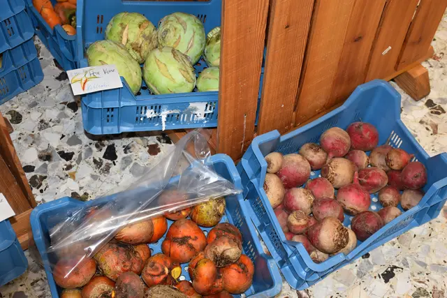 Foto: MeinBezirk/Carmen Rienzner