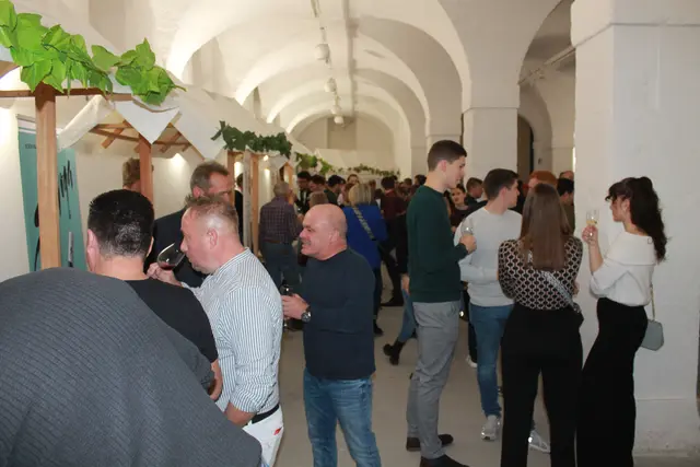 Foto: MeinBezirk Linz-Land