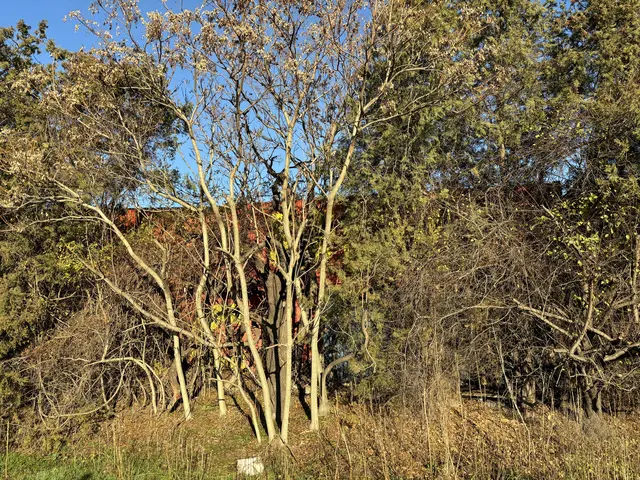 Foto: Luca Arztmann/MeinBezirk