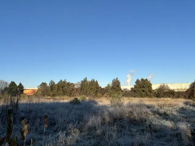 Foto: Luca Arztmann/MeinBezirk