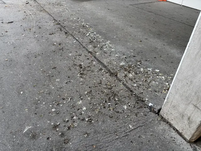 Ein regelmäßiges Meer an Taubenkot spielt sich seit etwa drei Jahren laut einer Anwohnerin des Josef-Bohmann-Hofs ab. | Foto: Michael Marbacher/MeinBezirk