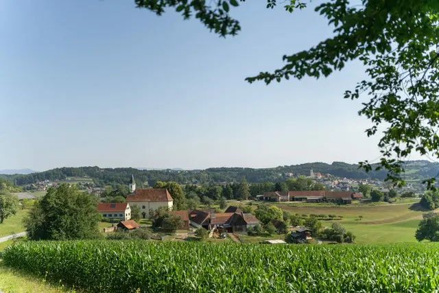 Hohe Lebensqualität: Umgeben von Natur profitieren die Einwohner auch von der Nähe zum Ballungsgebiet der Landeshauptstadt. | Foto: Gemeinde St. Marein bei Graz