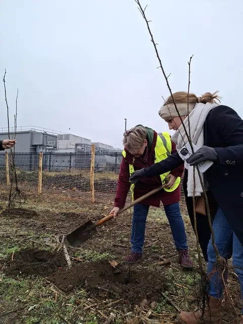 Foto: Stadtgemeinde Schwechat