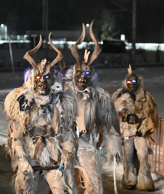 Foto: Wilfried Fischer