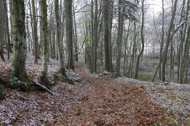 Foto: laumat.at/Matthias Lauber