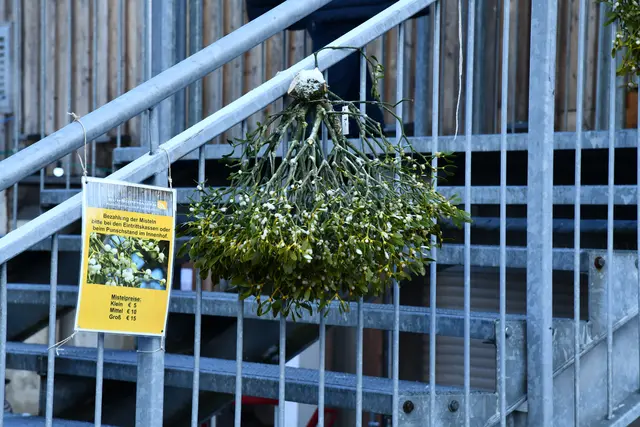 Foto: Erika Ganglberger