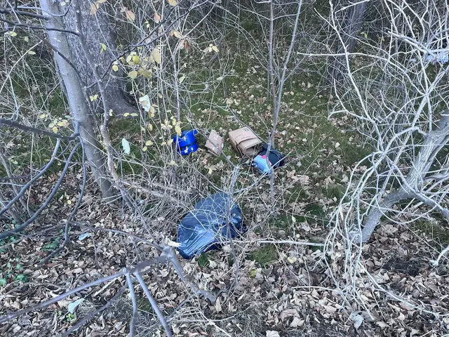 achtlos entsorgte Elektrogeräte und Kartonagen | Foto: TBW Est. Stubai