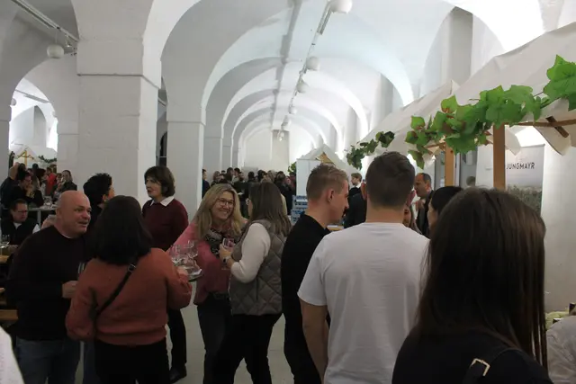 Foto: MeinBezirk Linz-Land