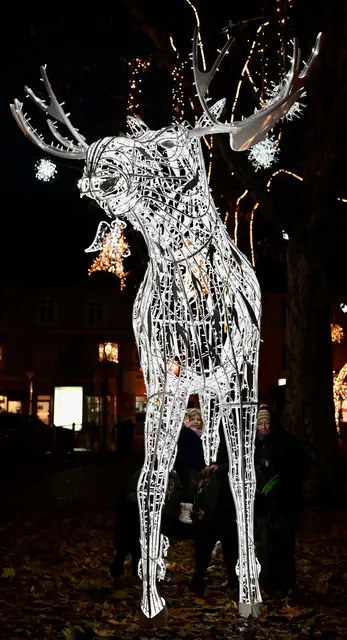 Ponyreiten im Pollheimerpark. 