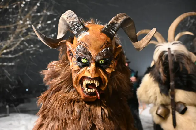 Foto: Wilfried Fischer