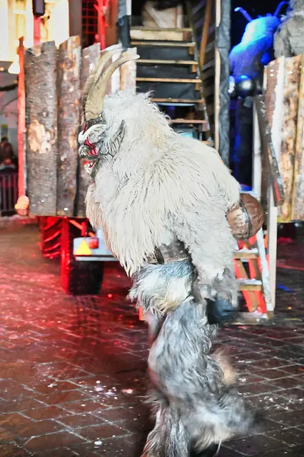 Foto: Wilfried Fischer