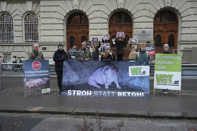 Schon vor Prozessbeginn nahmen die Tierschützerinnen und Tierschützer Aufstellung vor dem Landesgericht für Strafsachen in Graz. | Foto: VGT.at