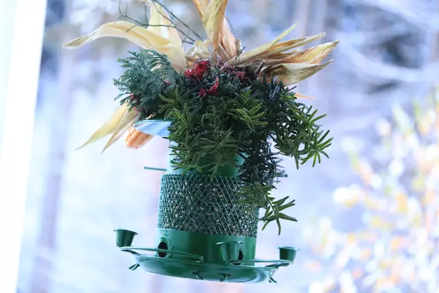 Die Vogerl hör ich schon im Wald
und bald werden sie mich besuchen.🐦
Ein schönes Winter-Wochenende 
wünsche ich all meinen
 lieben *Regionautenfreunden*
 und Besuchern meiner Seite.