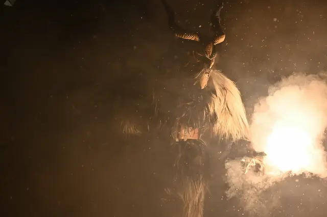 Foto: Wilfried Fischer