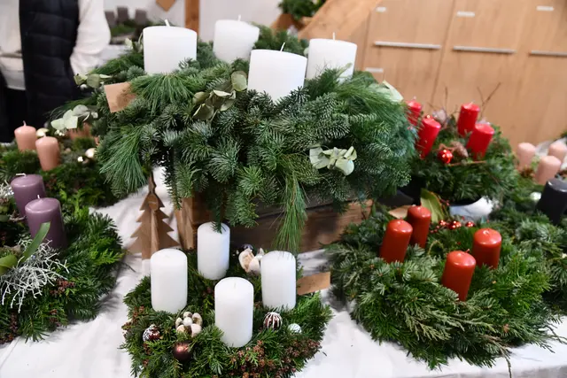 Foto: Erika Ganglberger