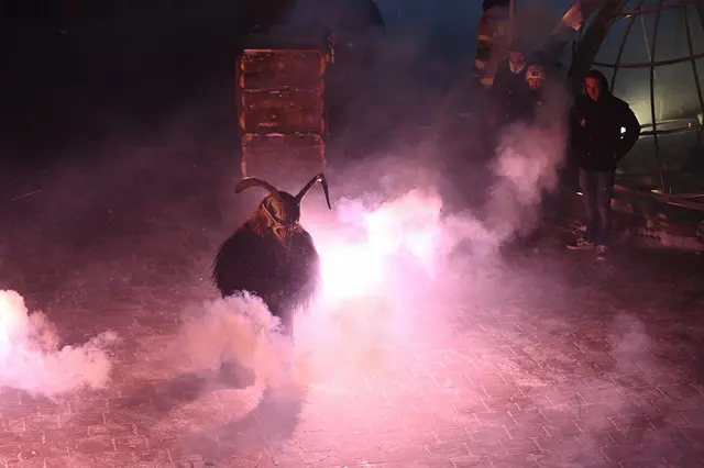 Foto: Wilfried Fischer