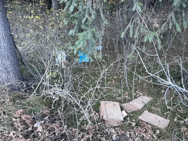 Abfallablagerungen im Wald sind strafbar | Foto: TBW Est. Stubai