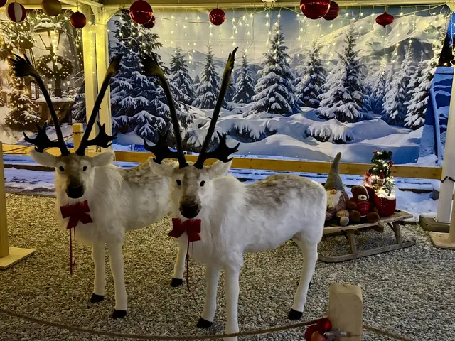 Foto: MeinBezirk/Angelika Brunner