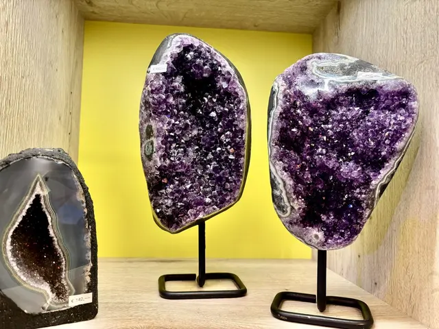 Foto: MeinBezirk/Angelika Brunner