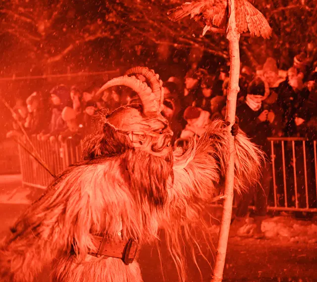 Foto: Wilfried Fischer