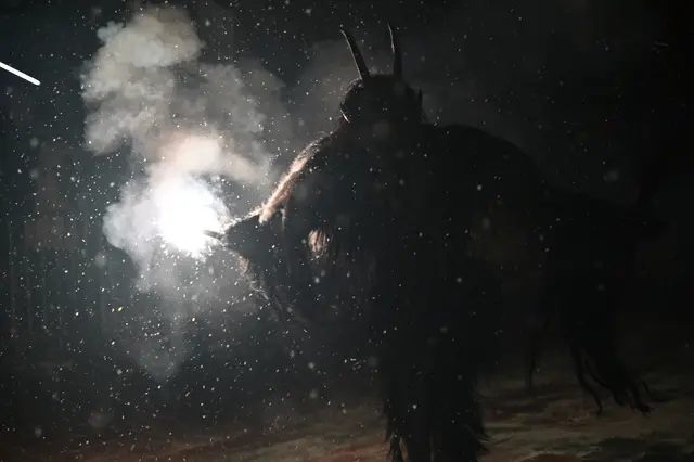 Foto: Wilfried Fischer