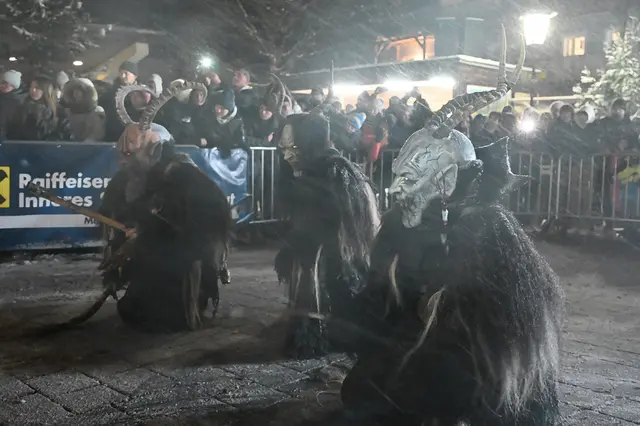 Foto: Wilfried Fischer