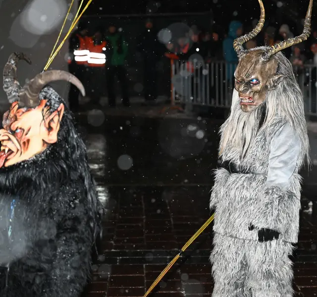 Foto: Wilfried Fischer