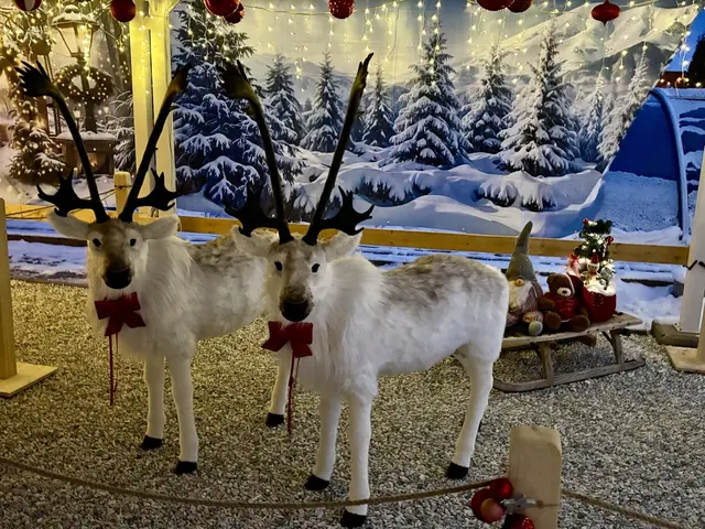 Foto: MeinBezirk/Angelika Brunner