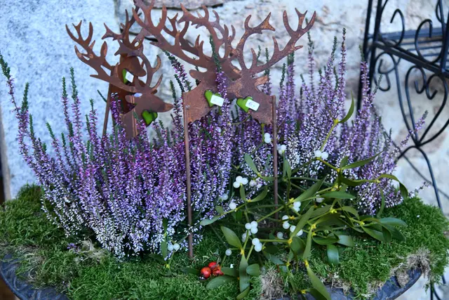 Foto: Erika Ganglberger