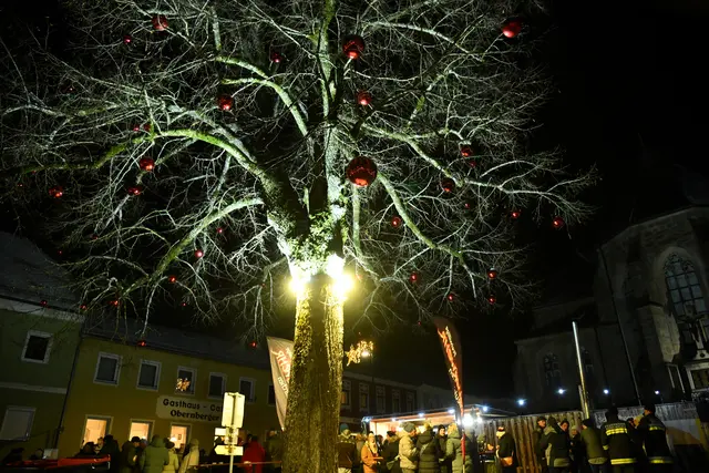 Foto: Erika Ganglberger