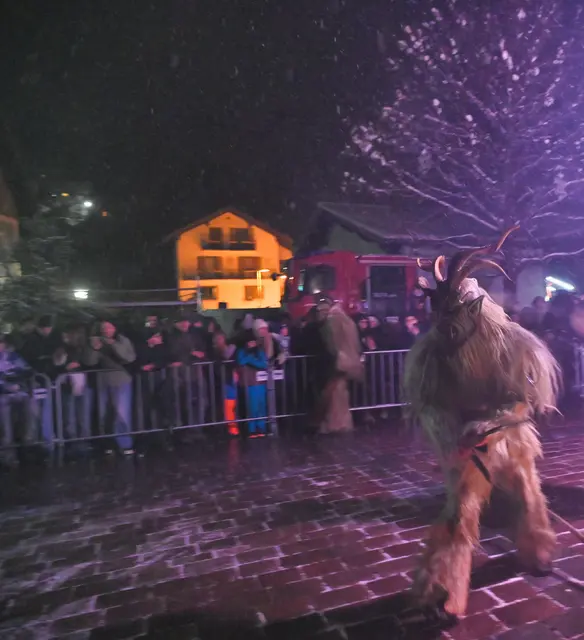 Foto: Wilfried Fischer