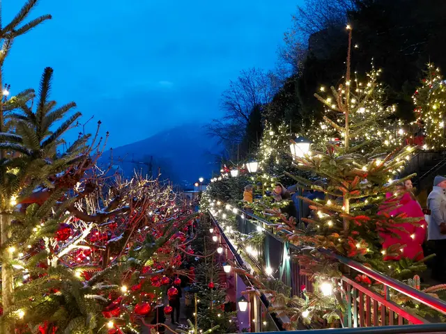Die Garten Terrassen im Stieglkeller sind prächtig geschmückt. | Foto: H.Bachinger