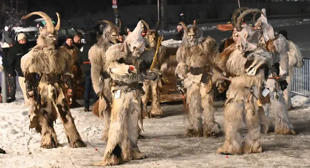 Foto: Wilfried Fischer