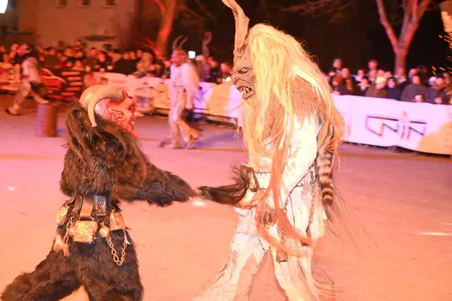 Die Show begeisterte alle Zuseher. | Foto: Edi Poss