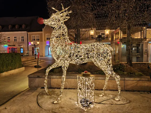 Rudolph the Red-Nosed Reindeer. | Foto: Christian Nowotny