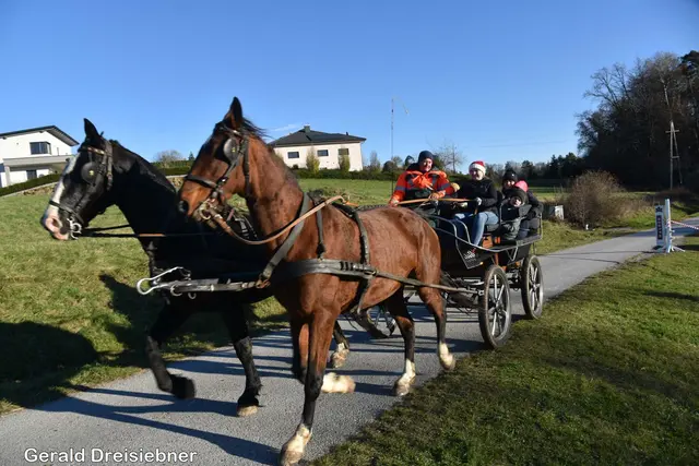 Foto: Gerald Dreisiebner