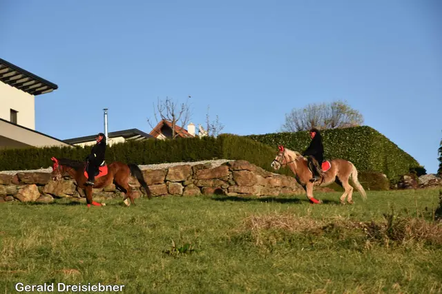 Foto: Gerald Dreisiebner