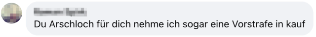 Posting eines Users auf der FB-Seite von Patrick Haselwanter | Foto: Bohrn Mena