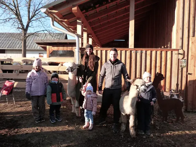 Ein Nachmittag zum Durchatmen: Die ruhige Art der Alpakas trug viel zur besonderen Atmosphäre beim zahlreich besuchten Adventzauber im Alpakahof in Lindgraben bei.  | Foto: Vanessa Wittmann