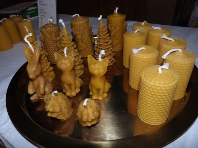 Foto: Vanessa Wittmann