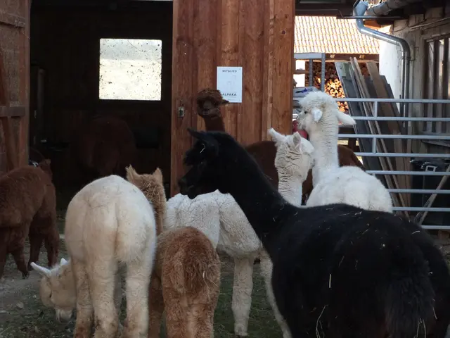 Foto: Vanessa Wittmann